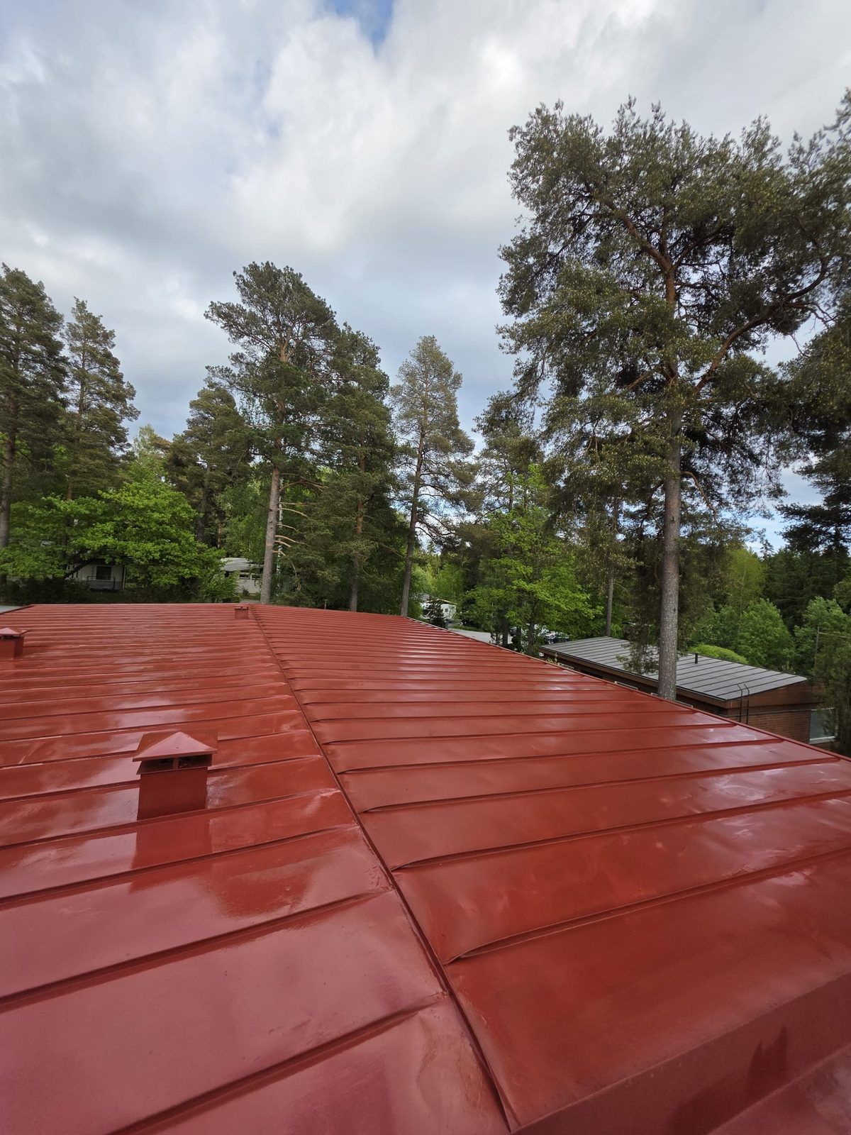 Punaiseksi maalattu ja pinnoitettu konesaumattu peltikatto Tampereella